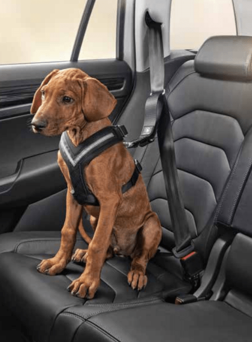 The Best Skoda Kodiaq Accessories Skoda Perth City