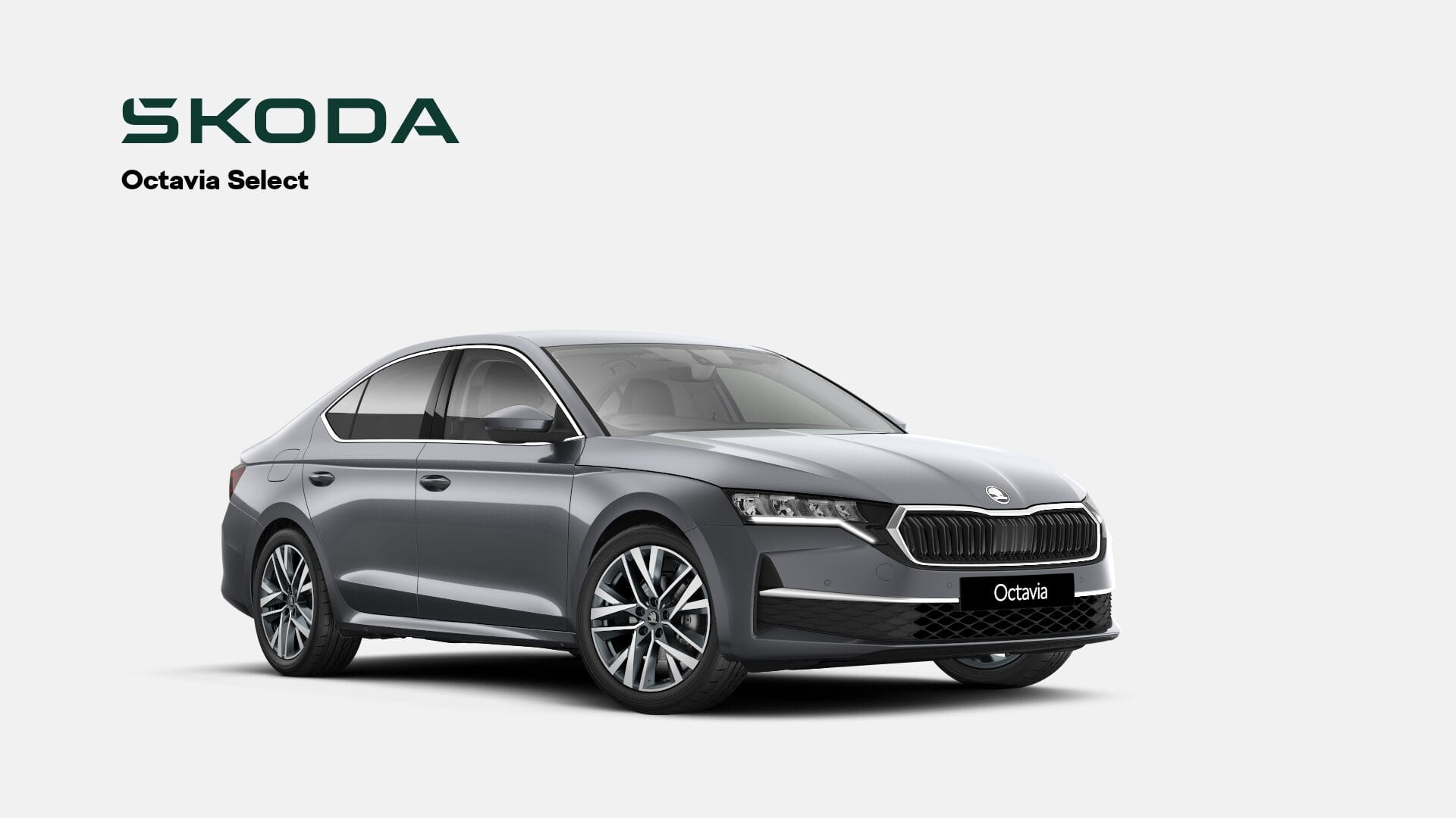 octavia dark grey